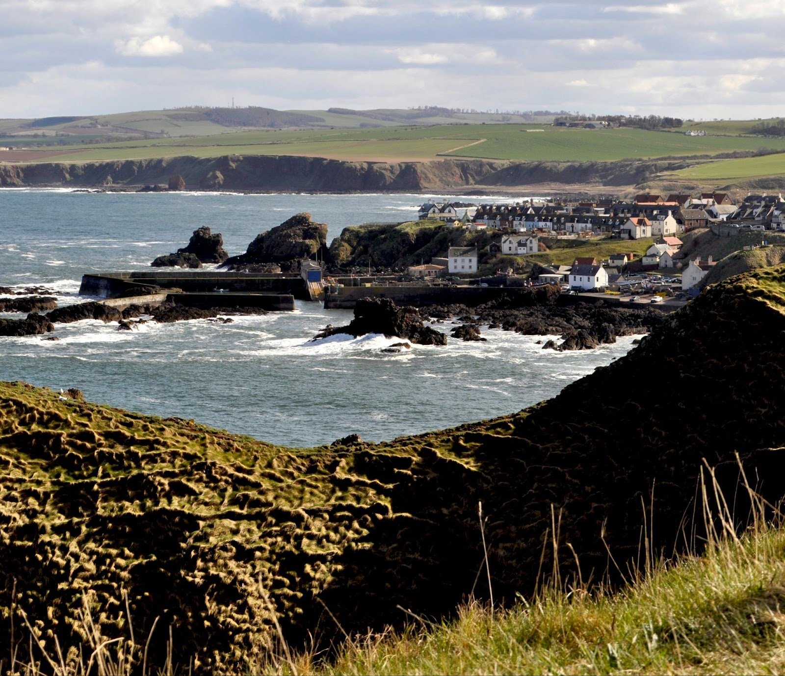 Where to Go Scuba Diving in Scotland with Your Kids